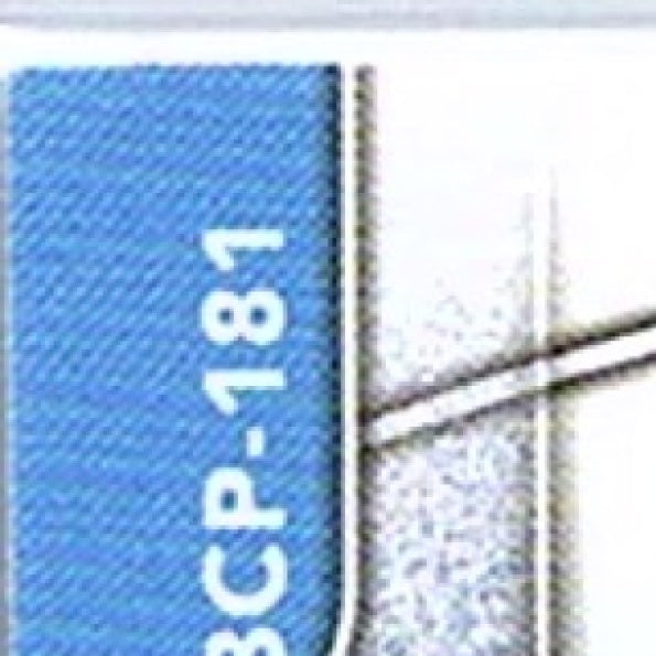 2025 Bowman Chrome RJ SCHRECK #BCP-181 1st Prospect Blue Jays