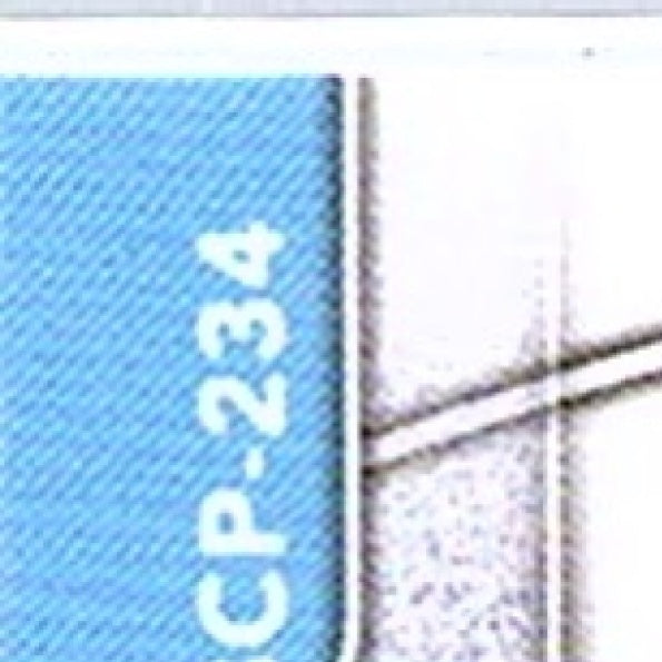 2025 Bowman Chrome CARSON WILLIAMS #BCP-234 Rays 1st Prospect Baseball RC