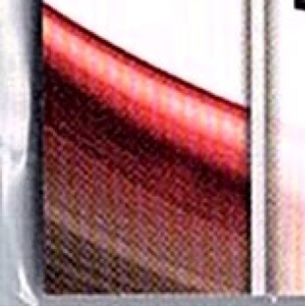 2024 Bowman's Best NOELVI MARTE #19 RC Reds